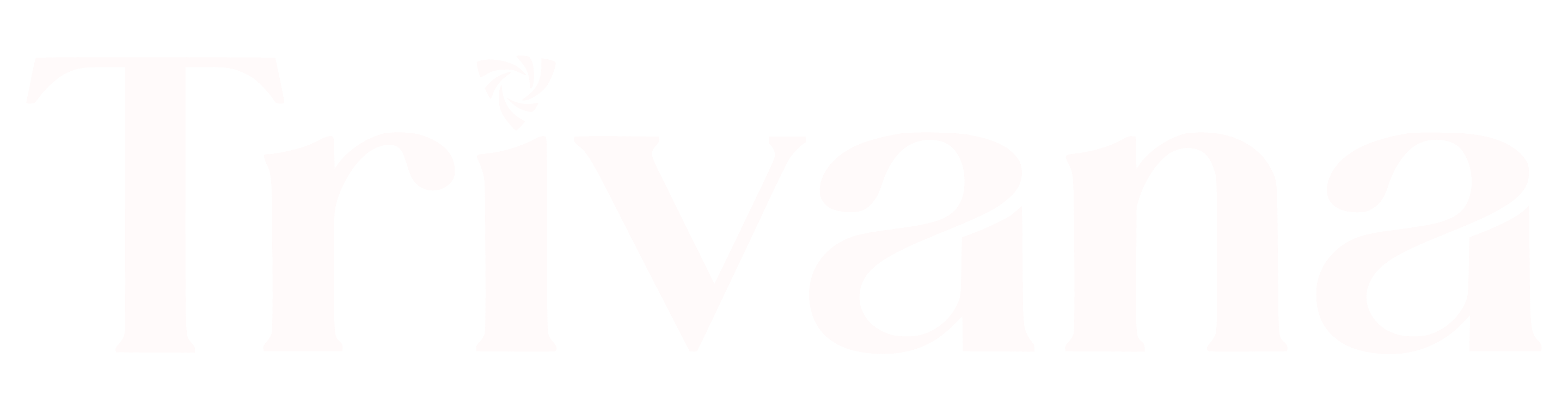Trivana Fashion México